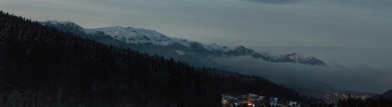 Best View Ap With Parking And 2 Bathrooms Sinaia Zewnętrze zdjęcie