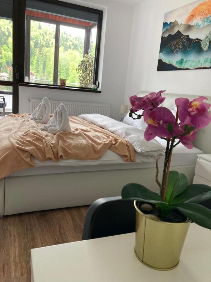 Best View Ap With Parking And 2 Bathrooms Sinaia Zewnętrze zdjęcie