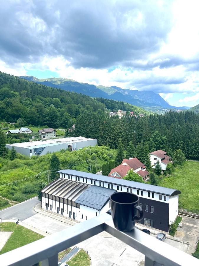 Best View Ap With Parking And 2 Bathrooms Sinaia Zewnętrze zdjęcie